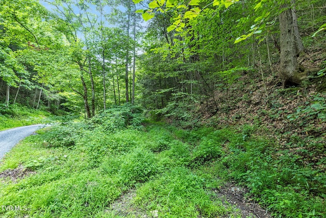 LOT9 Lone Star Rd, Bristol, VA 24202 - photo 4