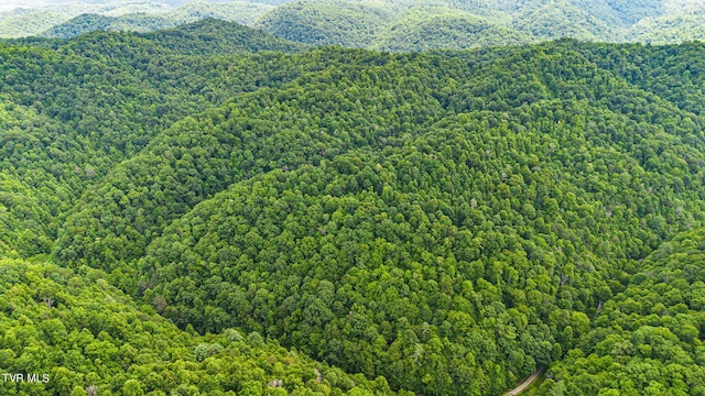 LOT9 Lone Star Rd, Bristol, VA 24202 - photo 5