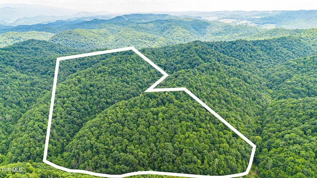 LOT9 Lone Star Rd, Bristol, VA 24202 - photo 7
