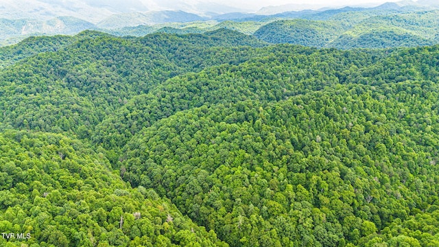 LOT9 Lone Star Rd, Bristol, VA 24202 - photo 13