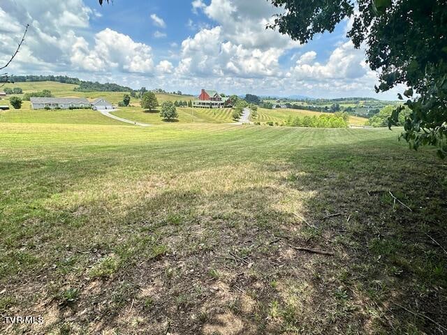 view of yard with a rural view