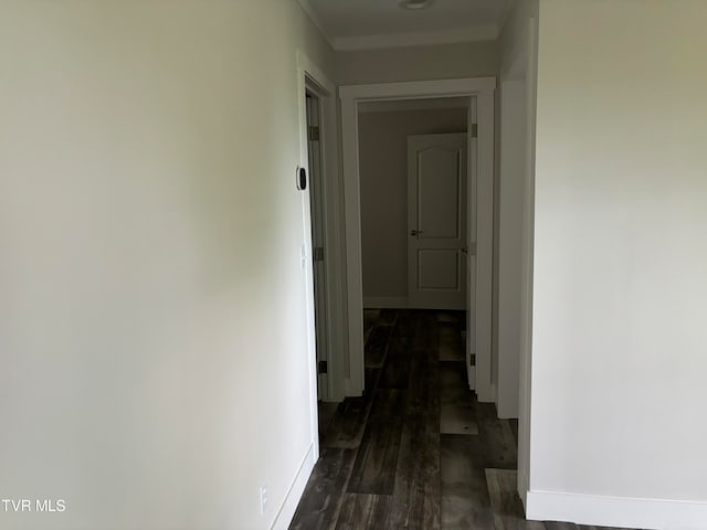 hallway featuring dark hardwood / wood-style flooring