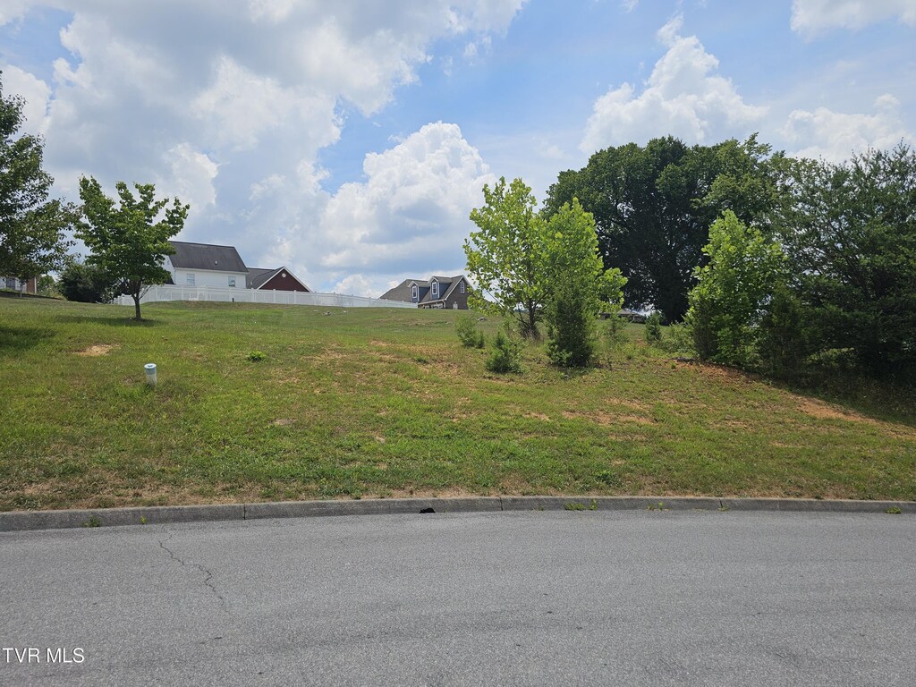 LOT8 Warrior Falls Dr, Kingsport, TN 37664