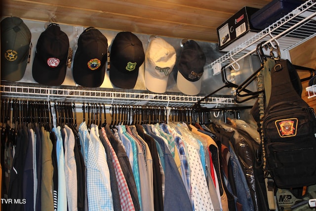 2044 Pigeon Creek Rd, Greeneville, TN 37743 - view of walk in closet
