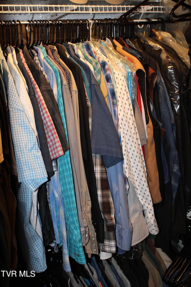 2044 Pigeon Creek Rd, Greeneville, TN 37743 - view of walk in closet