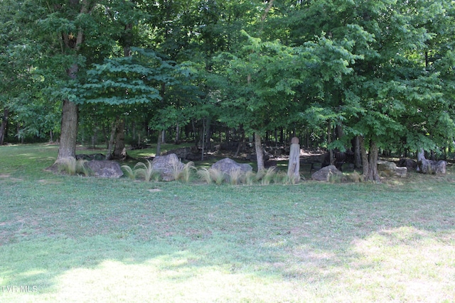 2044 Pigeon Creek Rd, Greeneville, TN 37743 - view of yard