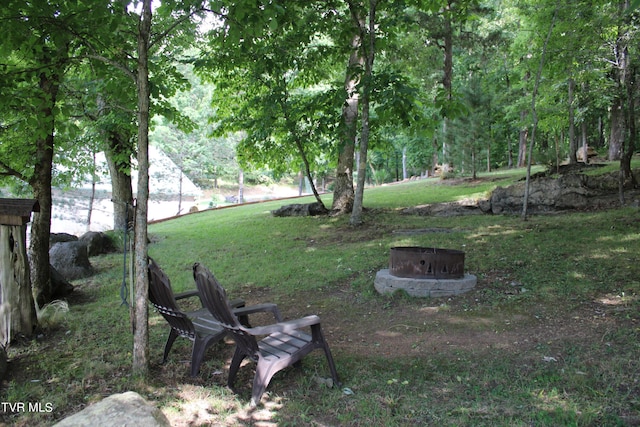 2044 Pigeon Creek Rd, Greeneville, TN 37743 - view of yard featuring a fire pit