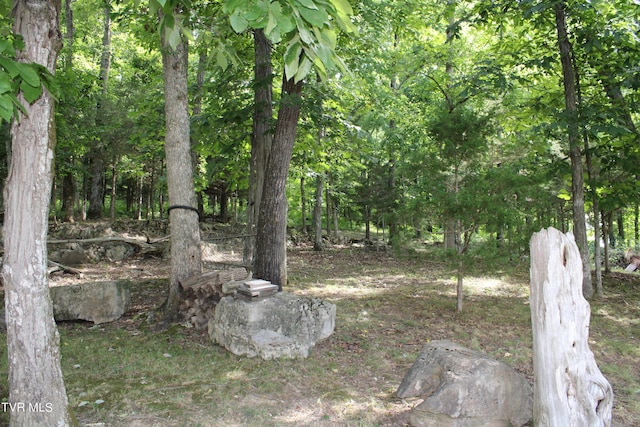 2044 Pigeon Creek Rd, Greeneville, TN 37743 - view of yard
