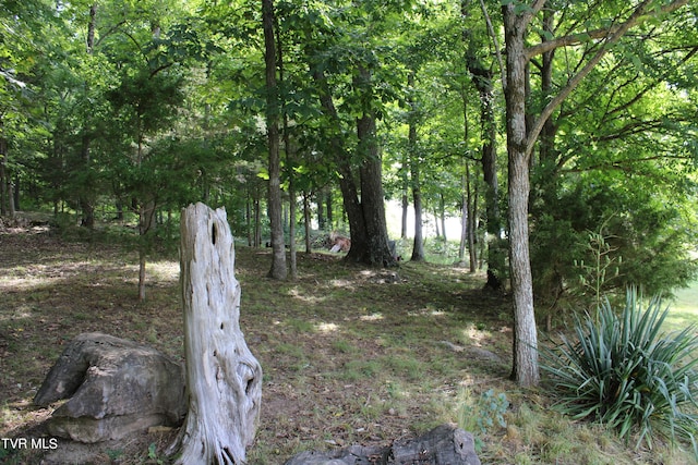 2044 Pigeon Creek Rd, Greeneville, TN 37743 - view of landscape