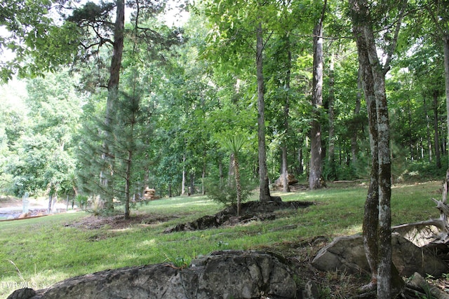 2044 Pigeon Creek Rd, Greeneville, TN 37743 - view of yard with a wooded view