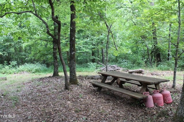 2044 Pigeon Creek Rd, Greeneville, TN 37743 - exterior space featuring a forest view