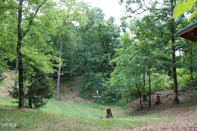 2044 Pigeon Creek Rd, Greeneville, TN 37743 - view of yard with a forest view
