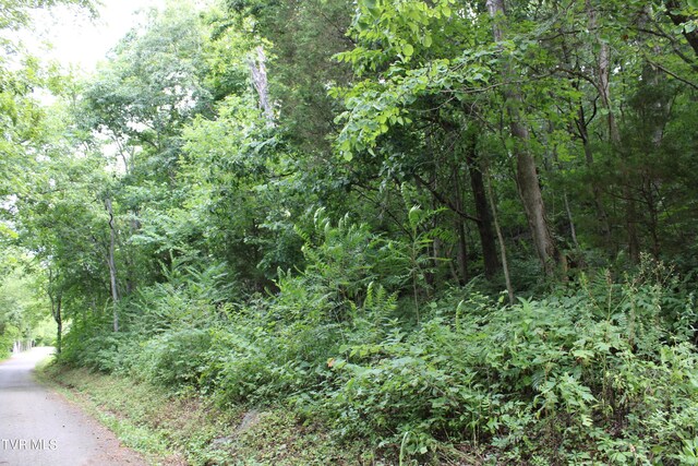 2044 Pigeon Creek Rd, Greeneville, TN 37743 - view of landscape featuring a wooded view