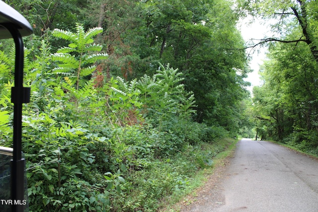 2044 Pigeon Creek Rd, Greeneville, TN 37743 - view of road featuring a view of trees