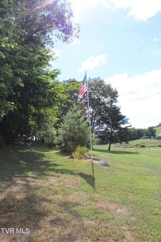 2044 Pigeon Creek Rd, Greeneville, TN 37743 - view of yard