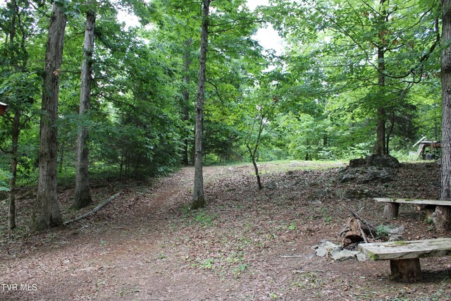 2044 Pigeon Creek Rd, Greeneville, TN 37743 - view of local wilderness with a forest view