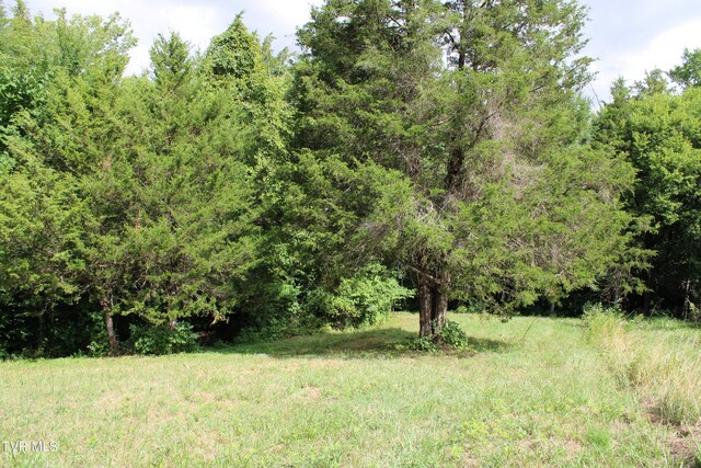 2044 Pigeon Creek Rd, Greeneville, TN 37743 - view of nature featuring a view of trees
