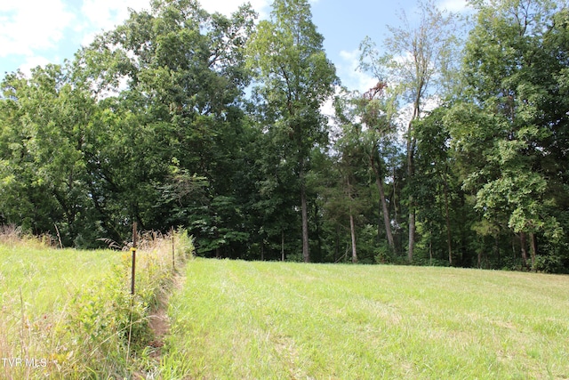 2044 Pigeon Creek Rd, Greeneville, TN 37743 - view of yard