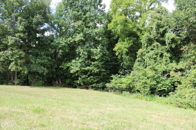 2044 Pigeon Creek Rd, Greeneville, TN 37743 - view of yard with a view of trees