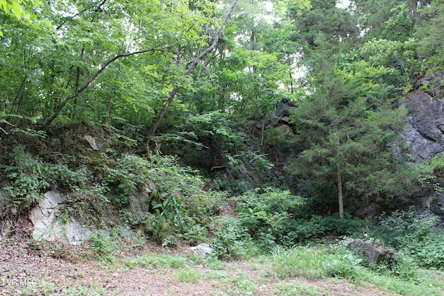 2044 Pigeon Creek Rd, Greeneville, TN 37743 - view of nature with a wooded view