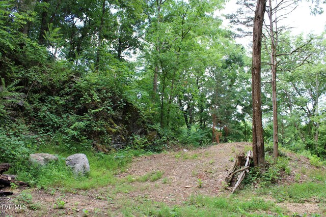 2044 Pigeon Creek Rd, Greeneville, TN 37743 - view of nature featuring a wooded view