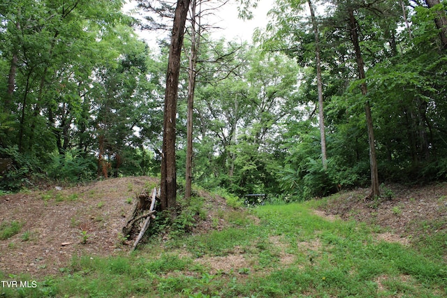 2044 Pigeon Creek Rd, Greeneville, TN 37743 - view of local wilderness