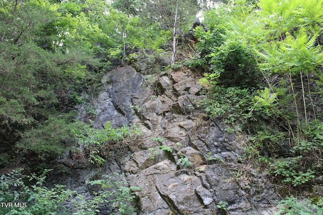2044 Pigeon Creek Rd, Greeneville, TN 37743 - view of local wilderness featuring a wooded view