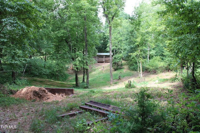 2044 Pigeon Creek Rd, Greeneville, TN 37743 - view of yard featuring a garden and a wooded view