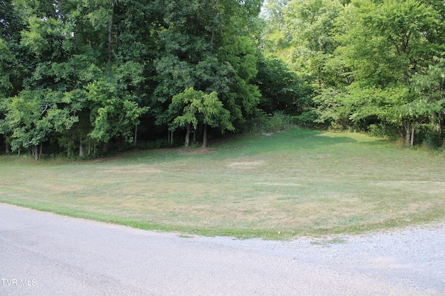 2044 Pigeon Creek Rd, Greeneville, TN 37743 - view of yard
