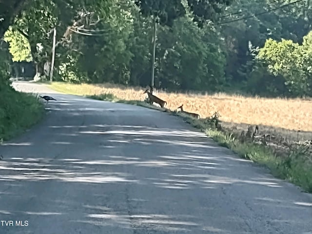 2044 Pigeon Creek Rd, Greeneville, TN 37743 - view of road
