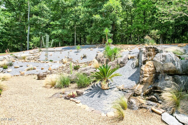 2044 Pigeon Creek Rd, Greeneville, TN 37743 - view of yard