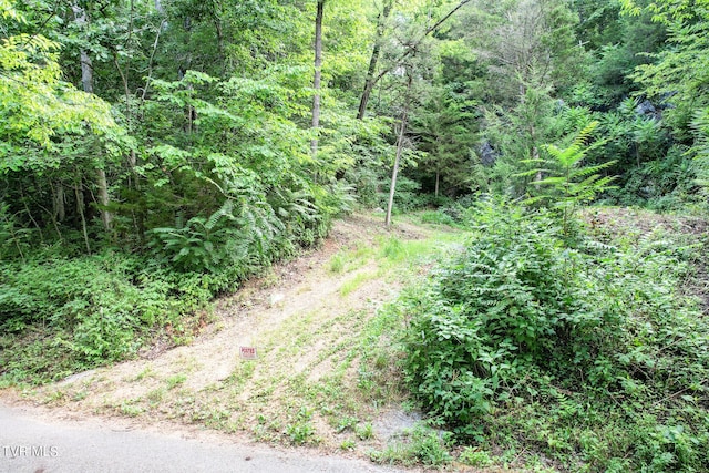 2044 Pigeon Creek Rd, Greeneville, TN 37743 - view of nature featuring a view of trees