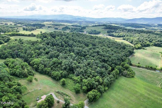 2044 Pigeon Creek Rd, Greeneville, TN 37743 - drone / aerial view with a mountain view