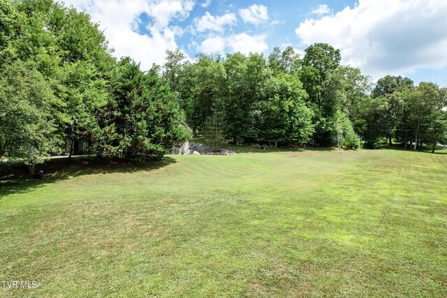 2044 Pigeon Creek Rd, Greeneville, TN 37743 - view of yard