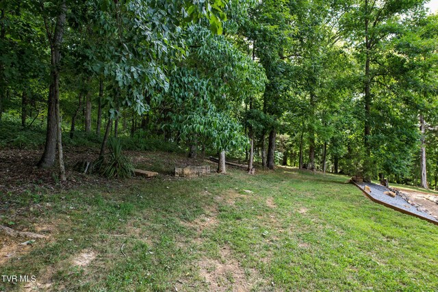 2044 Pigeon Creek Rd, Greeneville, TN 37743 - view of yard