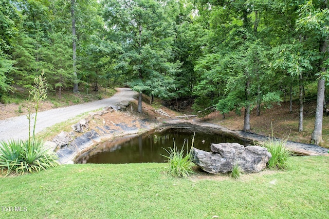 2044 Pigeon Creek Rd, Greeneville, TN 37743 - view of yard featuring a forest view
