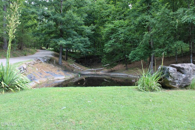 2044 Pigeon Creek Rd, Greeneville, TN 37743 - view of yard with a view of trees