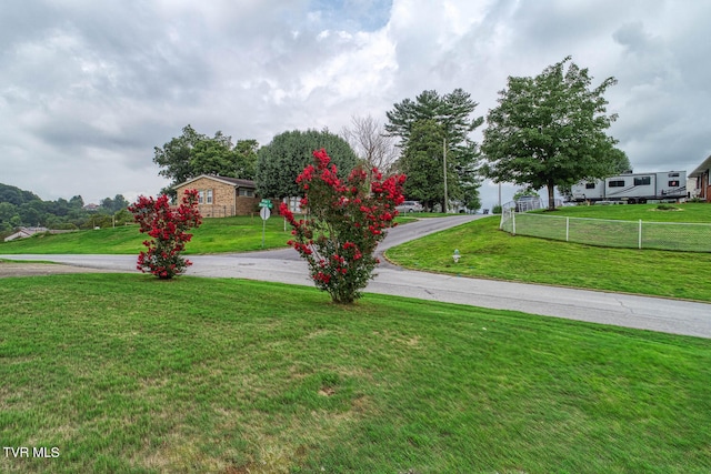 view of front of home featuring a front yard