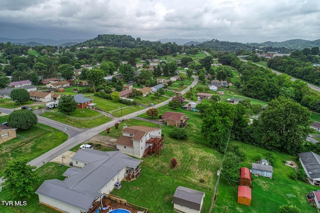 bird's eye view