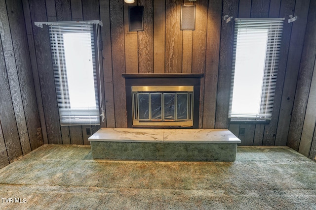 details with wood walls and carpet flooring