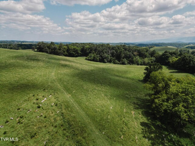 birds eye view of property with a rural view