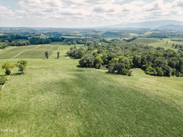 birds eye view of property with a rural view and a mountain view