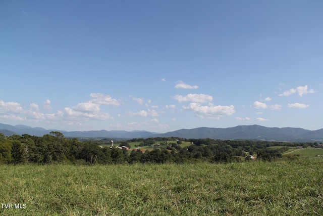 view of mountain feature