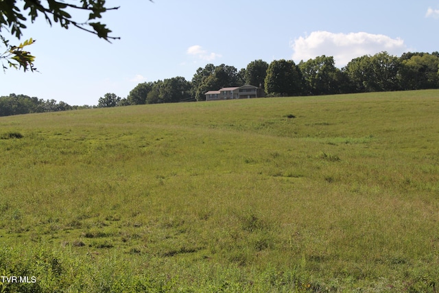 view of local wilderness featuring a rural view