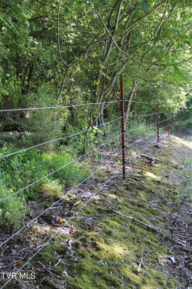 view of local wilderness