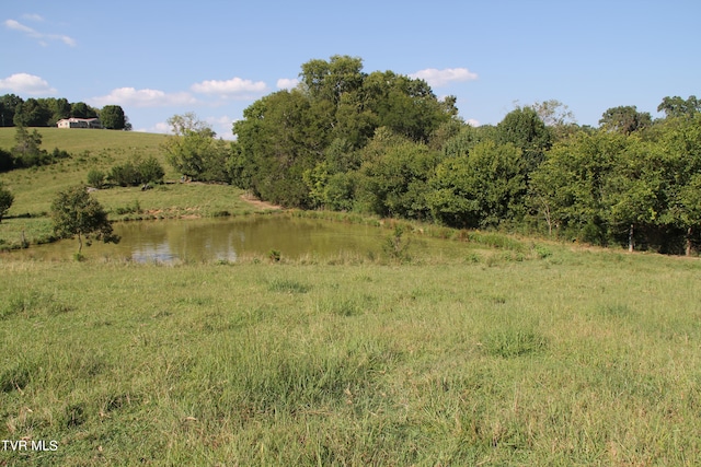 view of local wilderness with a water view