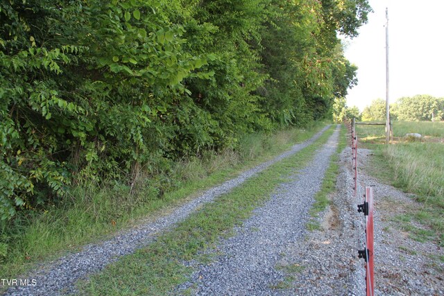 view of road