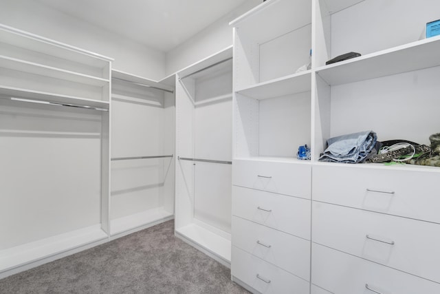 walk in closet with light colored carpet