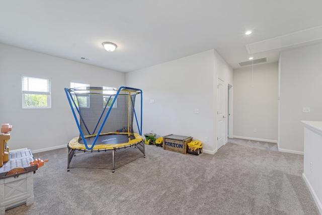 playroom with carpet flooring