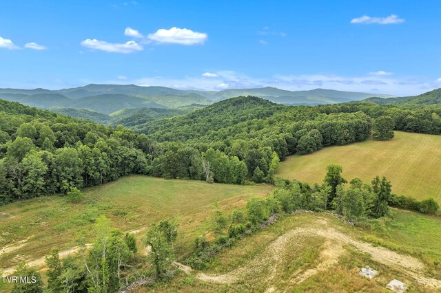 view of mountain feature